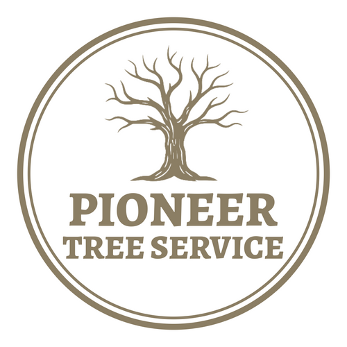 Pioneer Tree Service